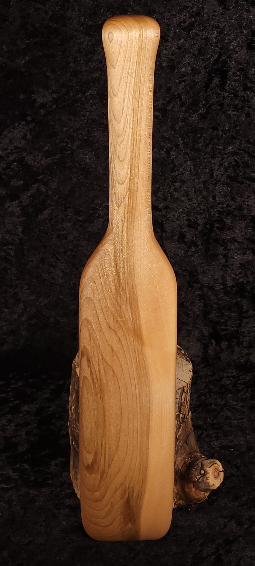 Curly maple spatula side view leaning on log