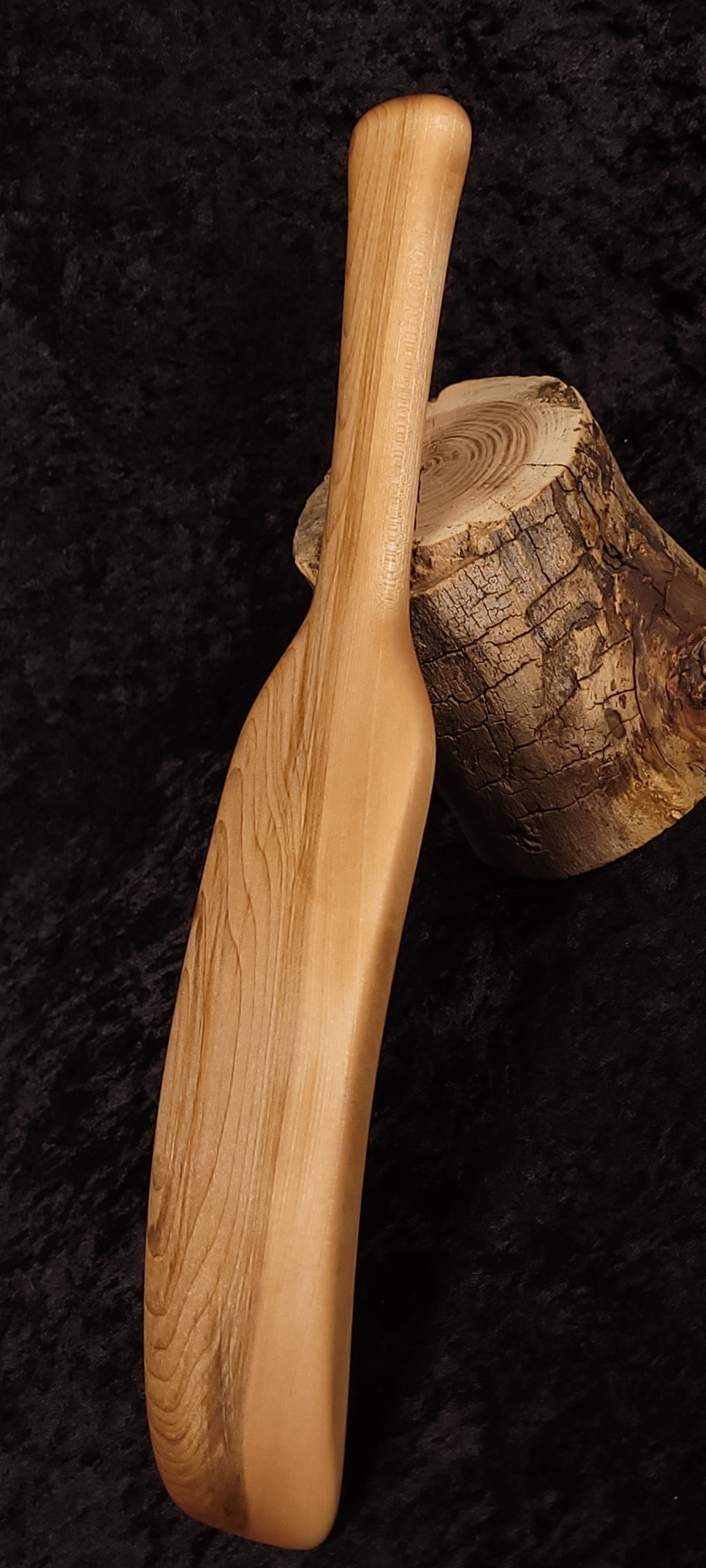 Curly maple spatula face view standing upright