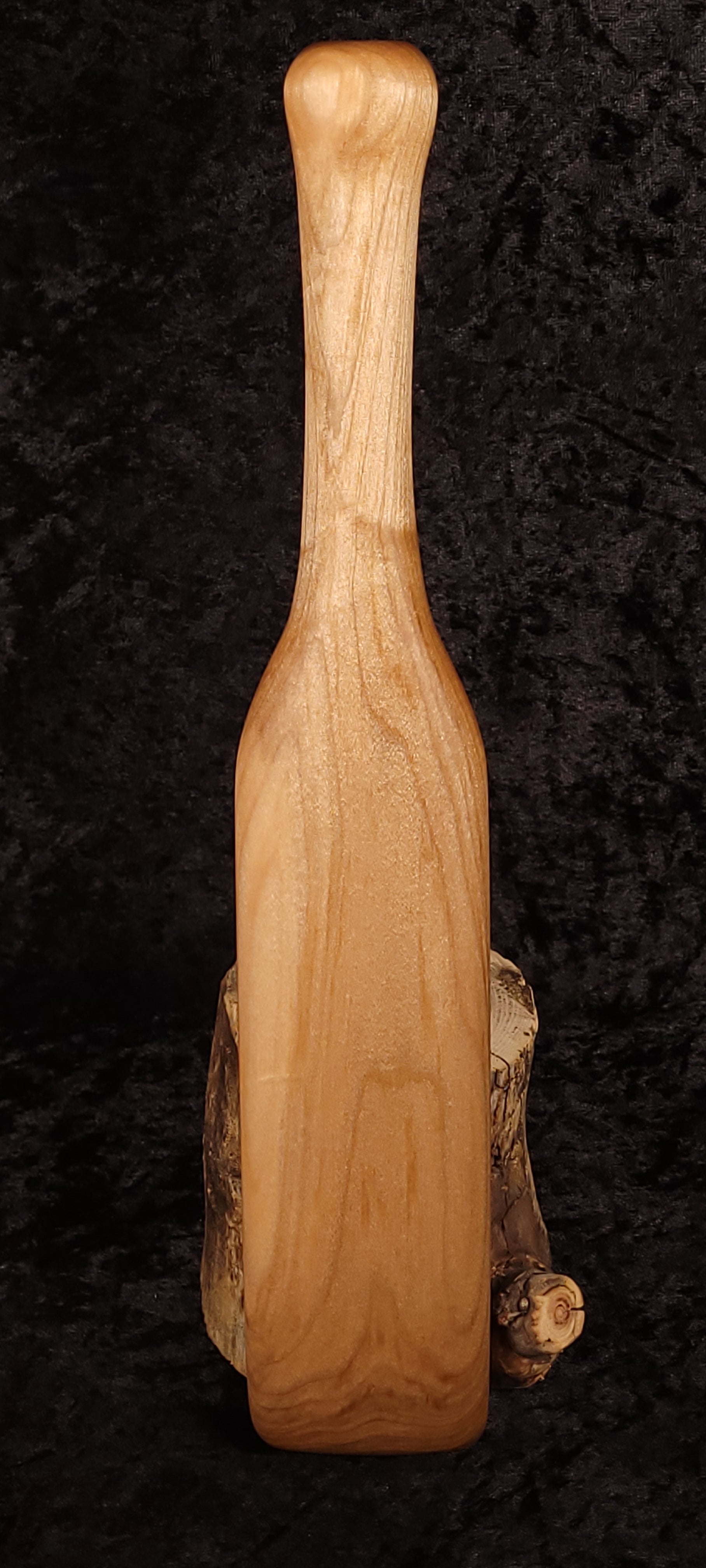 Curly maple spatula back view standing upright on log