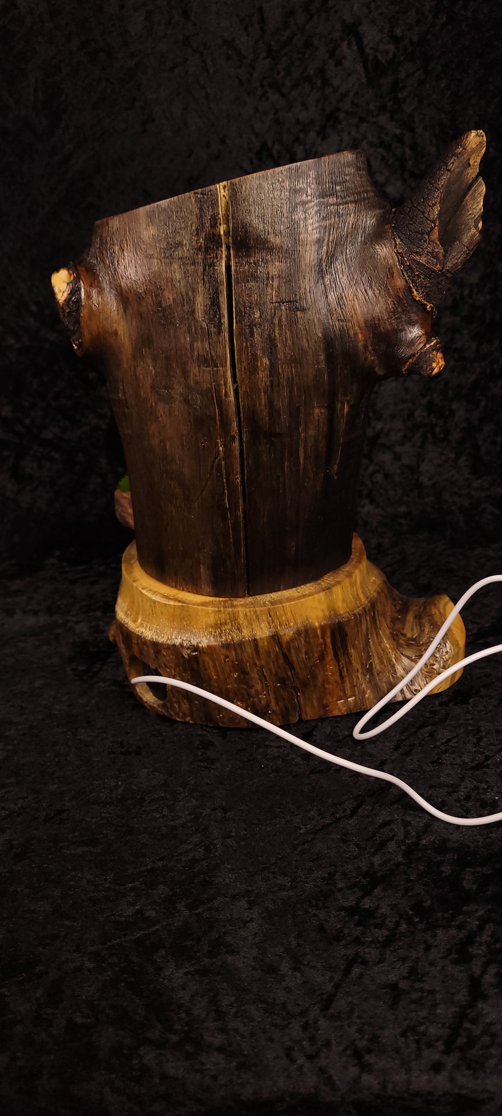 Fairy House Stump Lamp – Piñon Base, Aspen Body