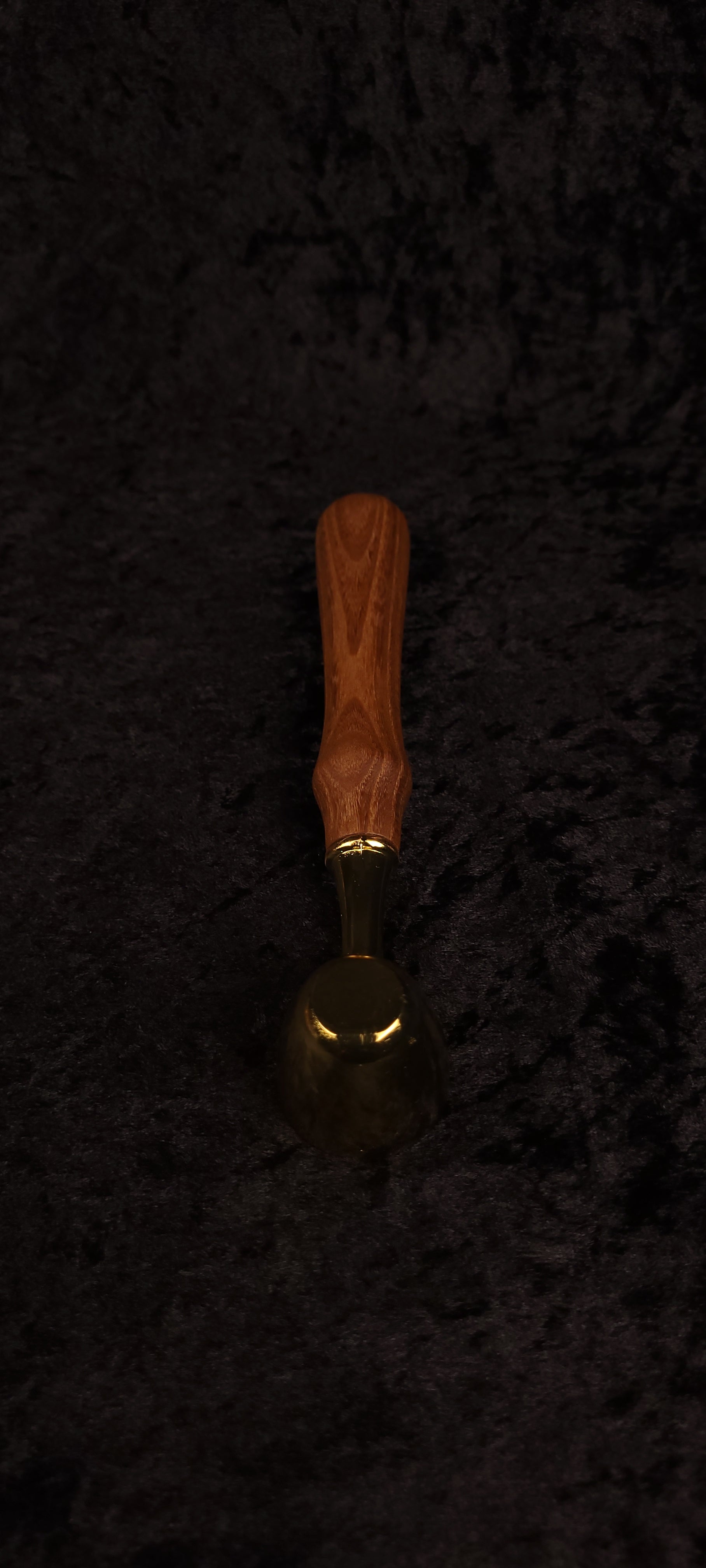 Catalpa wood coffee scoop upright view showing handle grain and gold neck ferrule