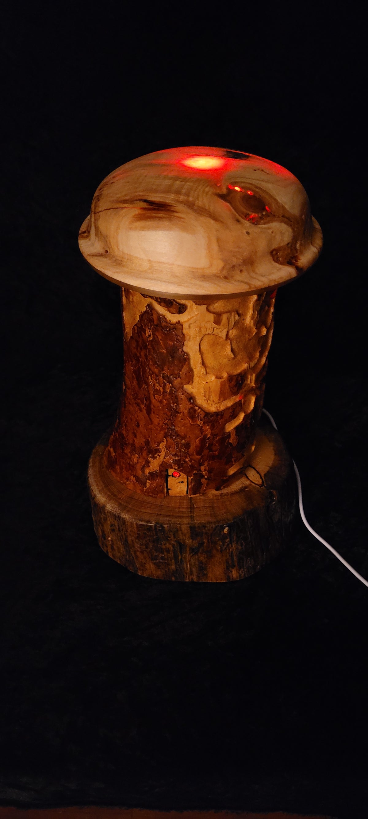 Wormy Pine RGB Lamp — alternate angle showing beetle-gallery texture lit from within